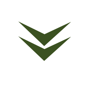 Arrow Icon